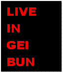 �e�L�X�g �{�b�N�X: LIVE
IN
GEI
BUN 
