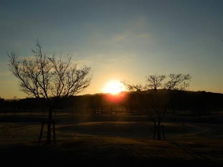 �[���Ɩ؁X

�����I�ɐ������ꂽ����