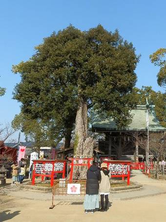 ���O, ���H, ��, �L�� ���܂܂�Ă���摜

�����I�ɐ������ꂽ����