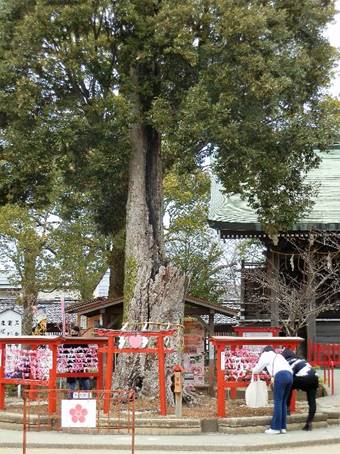 ���O, �L��, ����, ���O ���܂܂�Ă���摜

�����I�ɐ������ꂽ����