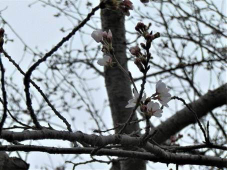 �؂̎}�Ɏ~�܂��Ă��钹

�����I�ɐ������ꂽ����