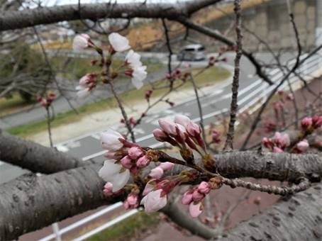 �Ԃ��炢���}

�����x�̐��x�Ŏ����I�ɐ������ꂽ����