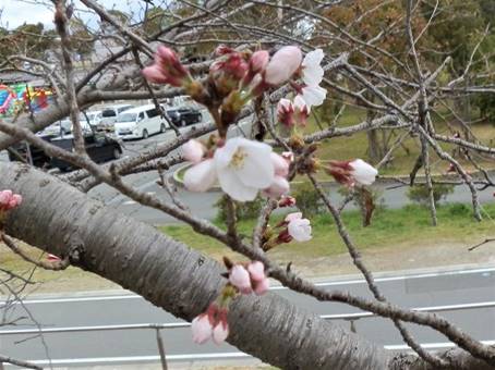 �Ԃ��炢�Ă����

�����x�̐��x�Ŏ����I�ɐ������ꂽ����