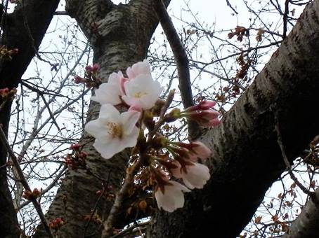 �Ԃ��炢�Ă����

�����I�ɐ������ꂽ����