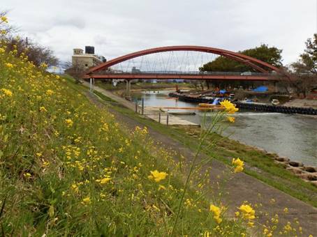 ��̏�̋�

�����x�̐��x�Ŏ����I�ɐ������ꂽ����