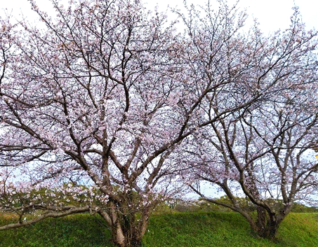 ���������Ă����

�����I�ɐ������ꂽ����