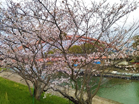 �؁X�̊Ԃ𗬂���

�Ⴂ���x�Ŏ����I�ɐ������ꂽ����