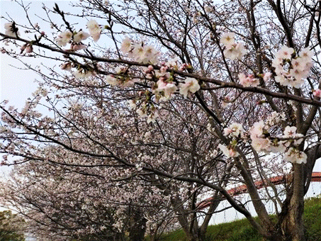 �Ԃ��炢�Ă����

�����I�ɐ������ꂽ����