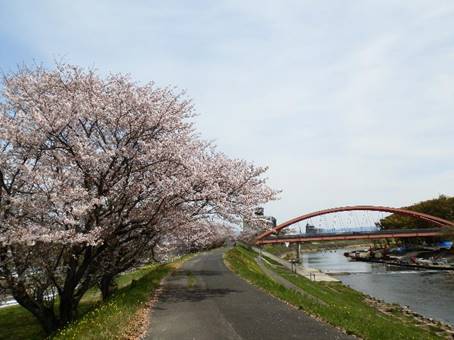 ��̏�̋�

�Ⴂ���x�Ŏ����I�ɐ������ꂽ����