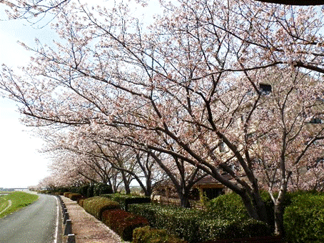 �Ԃ��炢�Ă����

�����x�̐��x�Ŏ����I�ɐ������ꂽ����