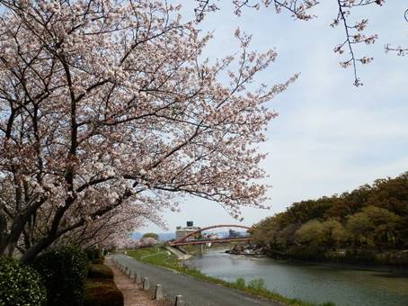 ��̏�ɂ��鐔��ނ̖�

�����x�̐��x�Ŏ����I�ɐ������ꂽ����