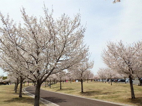 �����ɂ����

�����I�ɐ������ꂽ����