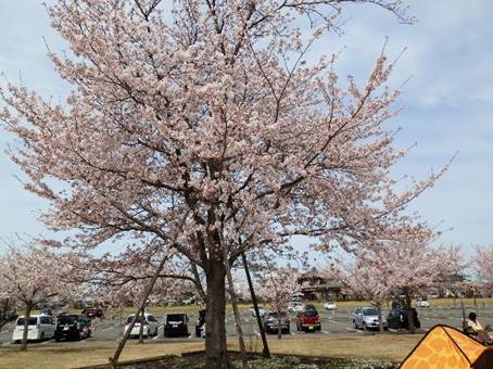 �����ɂ����

�����I�ɐ������ꂽ����