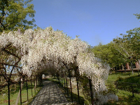 �����ɂ����

�����x�̐��x�Ŏ����I�ɐ������ꂽ����