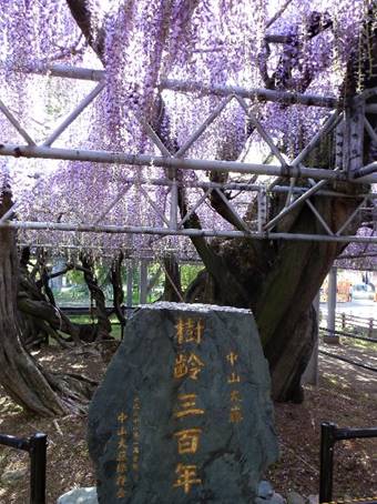 �X�̒��̌���

�����x�̐��x�Ŏ����I�ɐ������ꂽ����