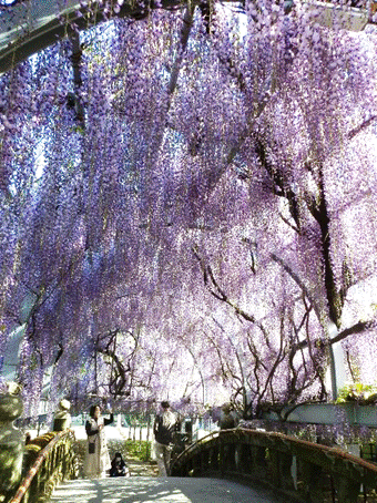 �X�̒��̖�

�����I�ɐ������ꂽ����