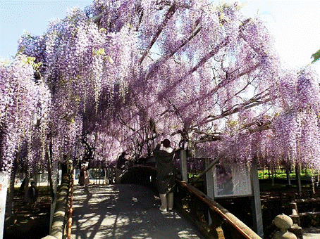 �H��, ���O, ��, ���� ���܂܂�Ă���摜

�����I�ɐ������ꂽ����