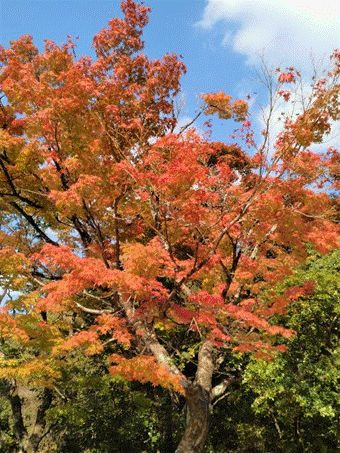 �؂̎}

�����I�ɐ������ꂽ����