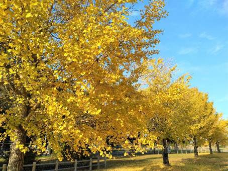 �Ԃ��炢�Ă����

�����I�ɐ������ꂽ����