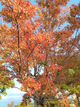 �؂̎}

�����I�ɐ������ꂽ����