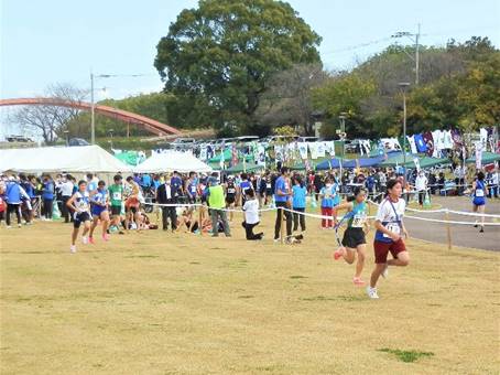 �o���[�{�[��������l�X

�����I�ɐ������ꂽ����