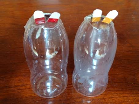 �ؐ��e�[�u���̏�ɂ���r

�����I�ɐ������ꂽ����