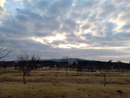 ���̏�ɉ_�̂����

�Ⴂ���x�Ŏ����I�ɐ������ꂽ����