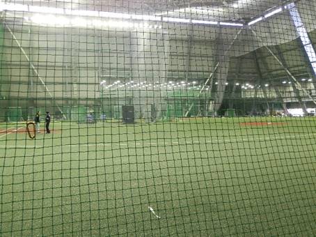 ����, �X�|�[�c�Q�[�� ���܂܂�Ă���摜

�����I�ɐ������ꂽ����