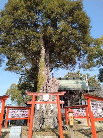 �����ɂ���x���`

�Ⴂ���x�Ŏ����I�ɐ������ꂽ����