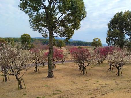 ���O, �L����, ��, �� ���܂܂�Ă���摜

�����I�ɐ������ꂽ����