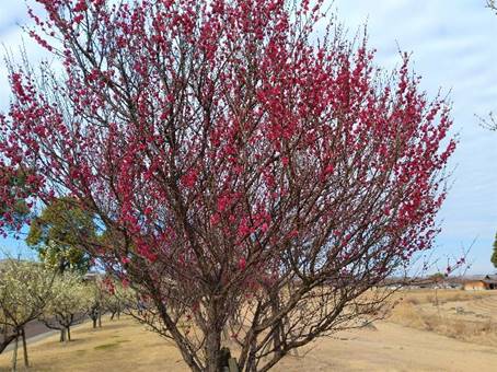 �؂̎}

�����I�ɐ������ꂽ����