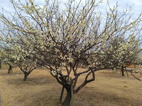 �؂̎}

�����I�ɐ������ꂽ����