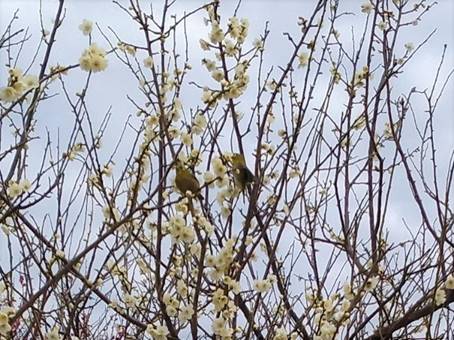 �؂̎}

�����I�ɐ������ꂽ����