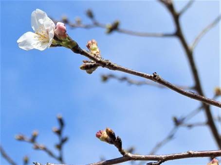 �؂̎}�Ɏ~�܂��Ă��钹

�����I�ɐ������ꂽ����