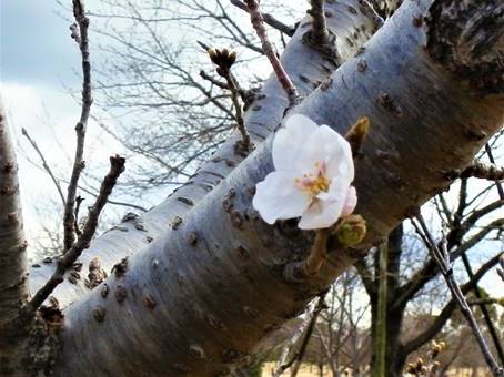 �؂̎}

�����I�ɐ������ꂽ����