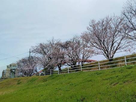 ��, ���O, �t�B�[���h, ���q ���܂܂�Ă���摜

�����I�ɐ������ꂽ����