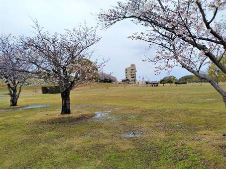 ���̏�ɂ����

�����I�ɐ������ꂽ����