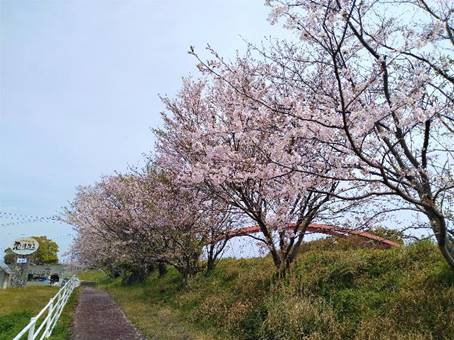 �΂݂̒��̓�

�����x�̐��x�Ŏ����I�ɐ������ꂽ����