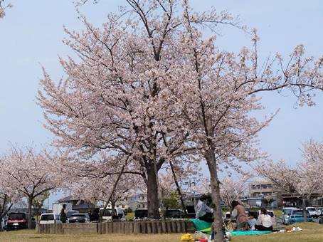 �����ɐA���Ă����

�����x�̐��x�Ŏ����I�ɐ������ꂽ����