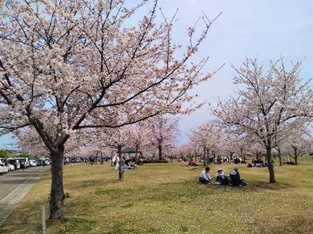 �����ɐA���Ă����

�����x�̐��x�Ŏ����I�ɐ������ꂽ����