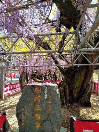 ���O, ��, ����, �x���` ���܂܂�Ă���摜

�����I�ɐ������ꂽ����