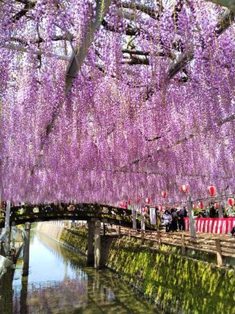 �Ԃ��炢�Ă����

�����x�̐��x�Ŏ����I�ɐ������ꂽ����