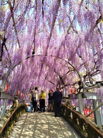 ��, �H��, ���O, ���O ���܂܂�Ă���摜

�����I�ɐ������ꂽ����