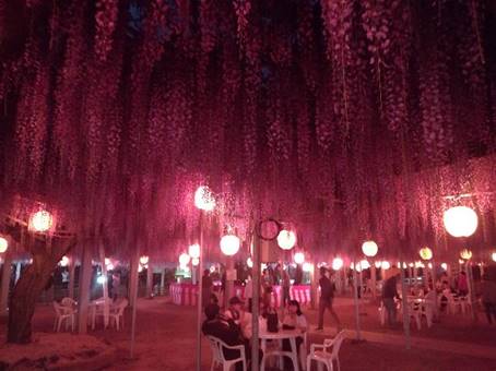 ��̊X�̗l�q

�����x�̐��x�Ŏ����I�ɐ������ꂽ����