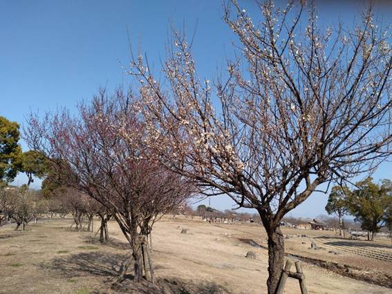 ���������Ă����

�����I�ɐ������ꂽ����