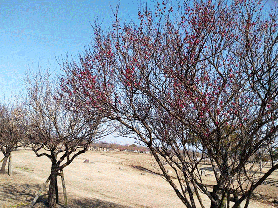 �؂̎}

�����I�ɐ������ꂽ����