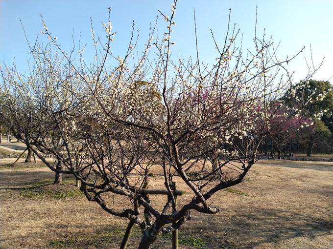 ���������Ă����

�����I�ɐ������ꂽ����