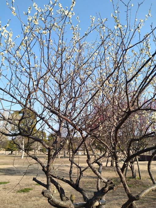 �؂̎}

�����I�ɐ������ꂽ����