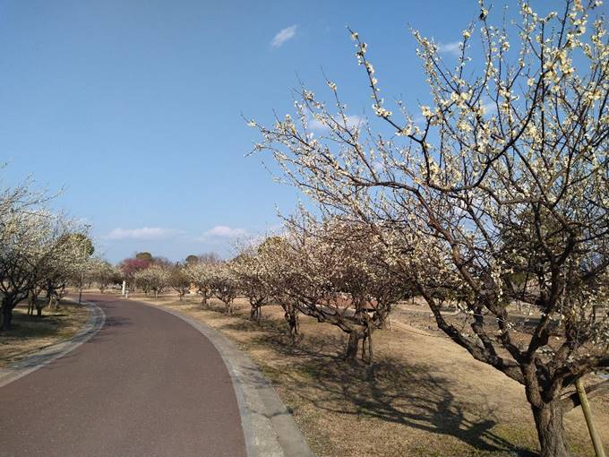 ���O, ���H, ��, �X�g���[�g ���܂܂�Ă���摜

�����I�ɐ������ꂽ����