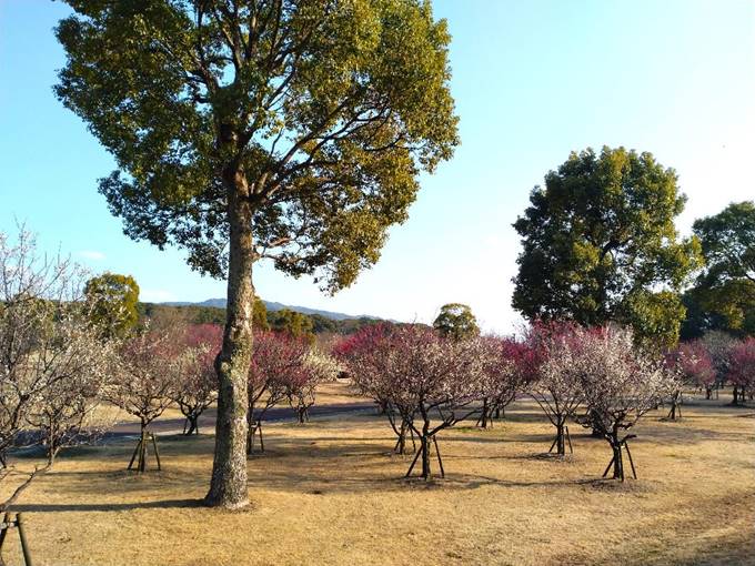 �n�̌Q��ƃL����

�����x�̐��x�Ŏ����I�ɐ������ꂽ����